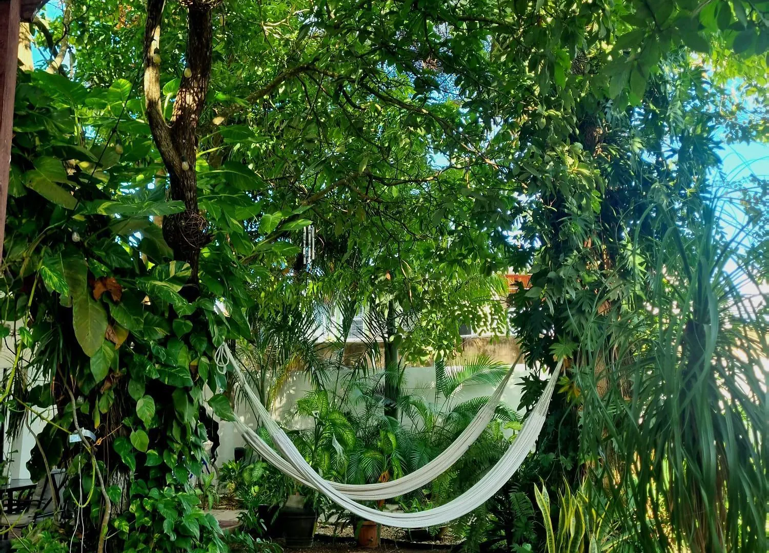 Hotel Brisas Bacalar Meksyk